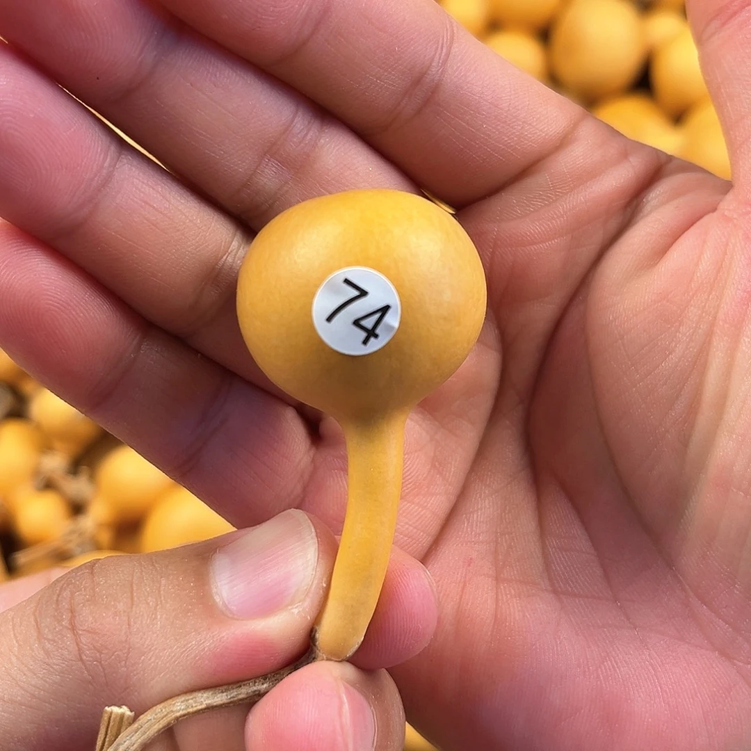一葫芦葫芦葫芦葫芦74