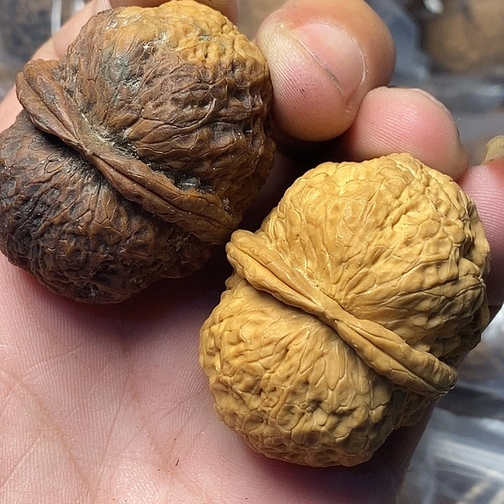 把件文玩核桃云南铁核桃89