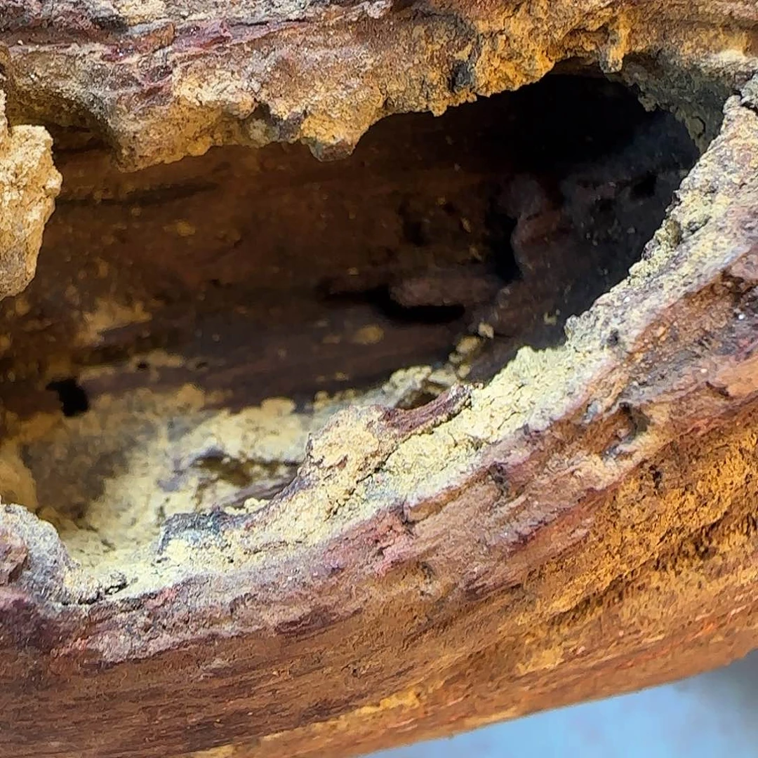 木?*扬降真香定制1.6单圈