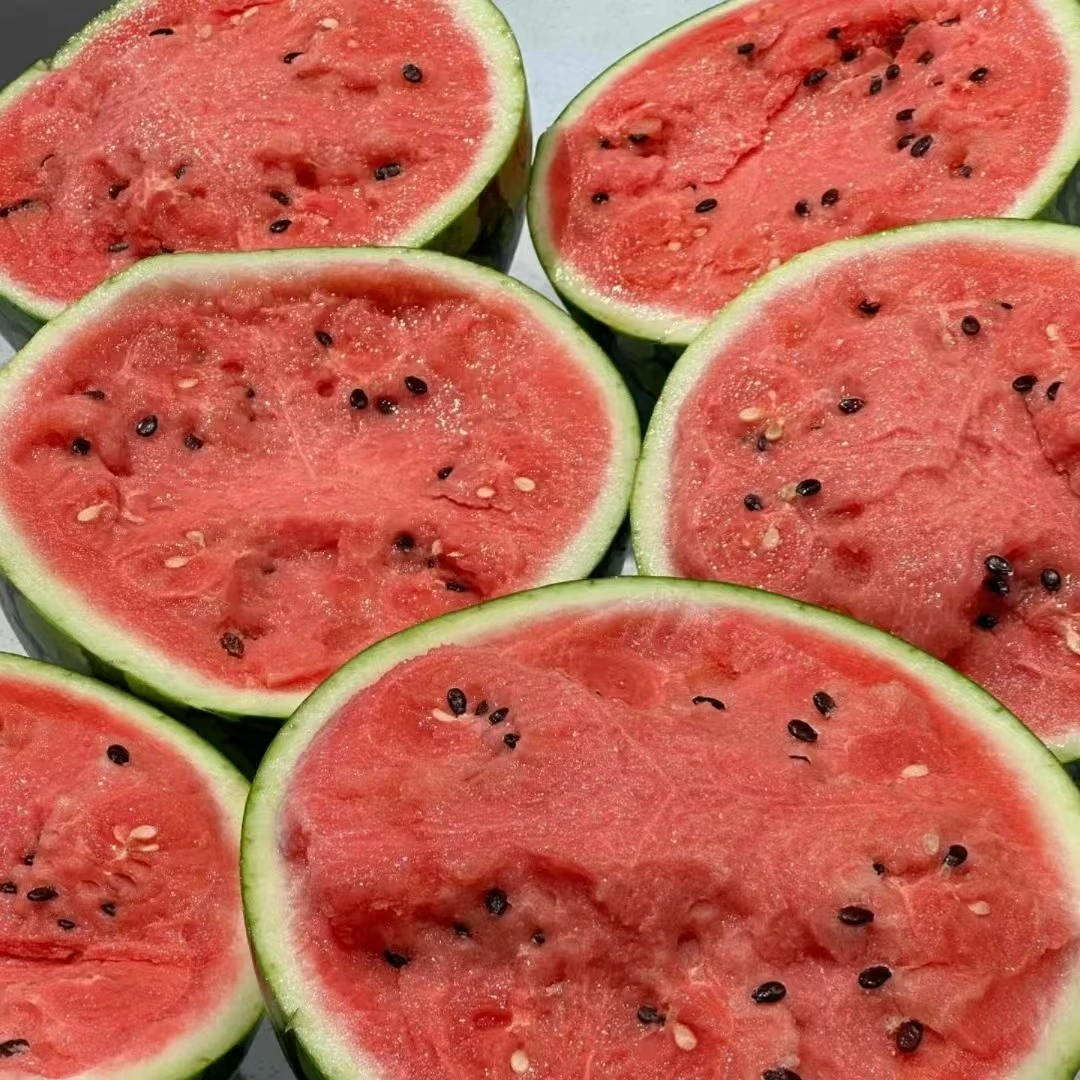 【坏果包赔】丁氏麒麟西瓜瓜1颗6-8斤