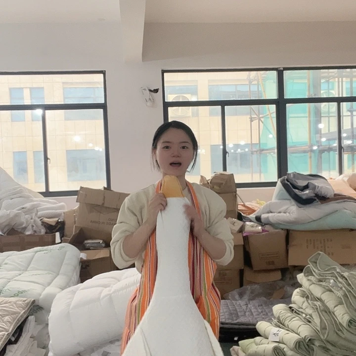 玻璃大白鹅。 娃娃