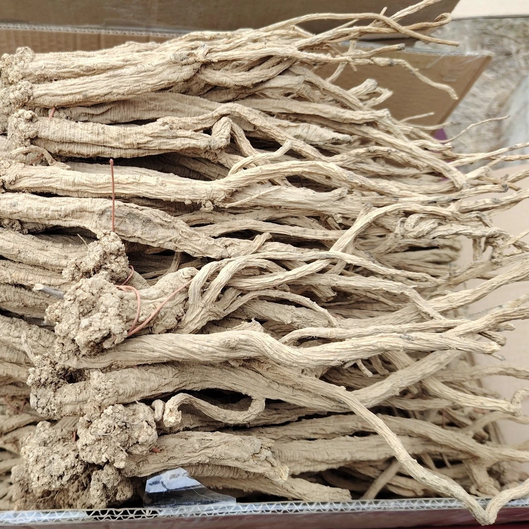甘肃野生纹党参新货整条无硫纯干货原生态正品产地直发特级老原味