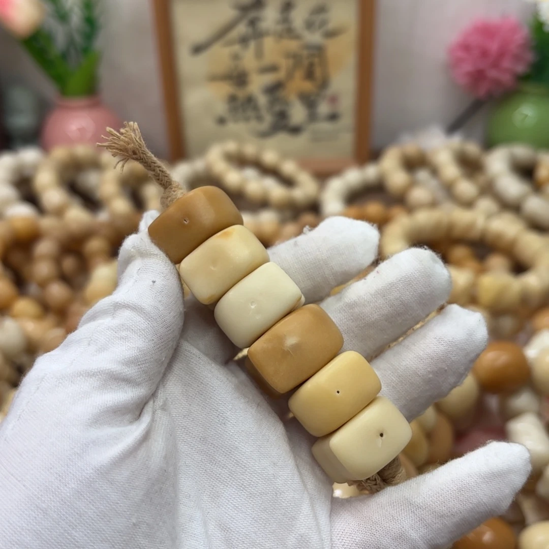 菩提根/象牙果吊坠牙果瑕疵干磨383