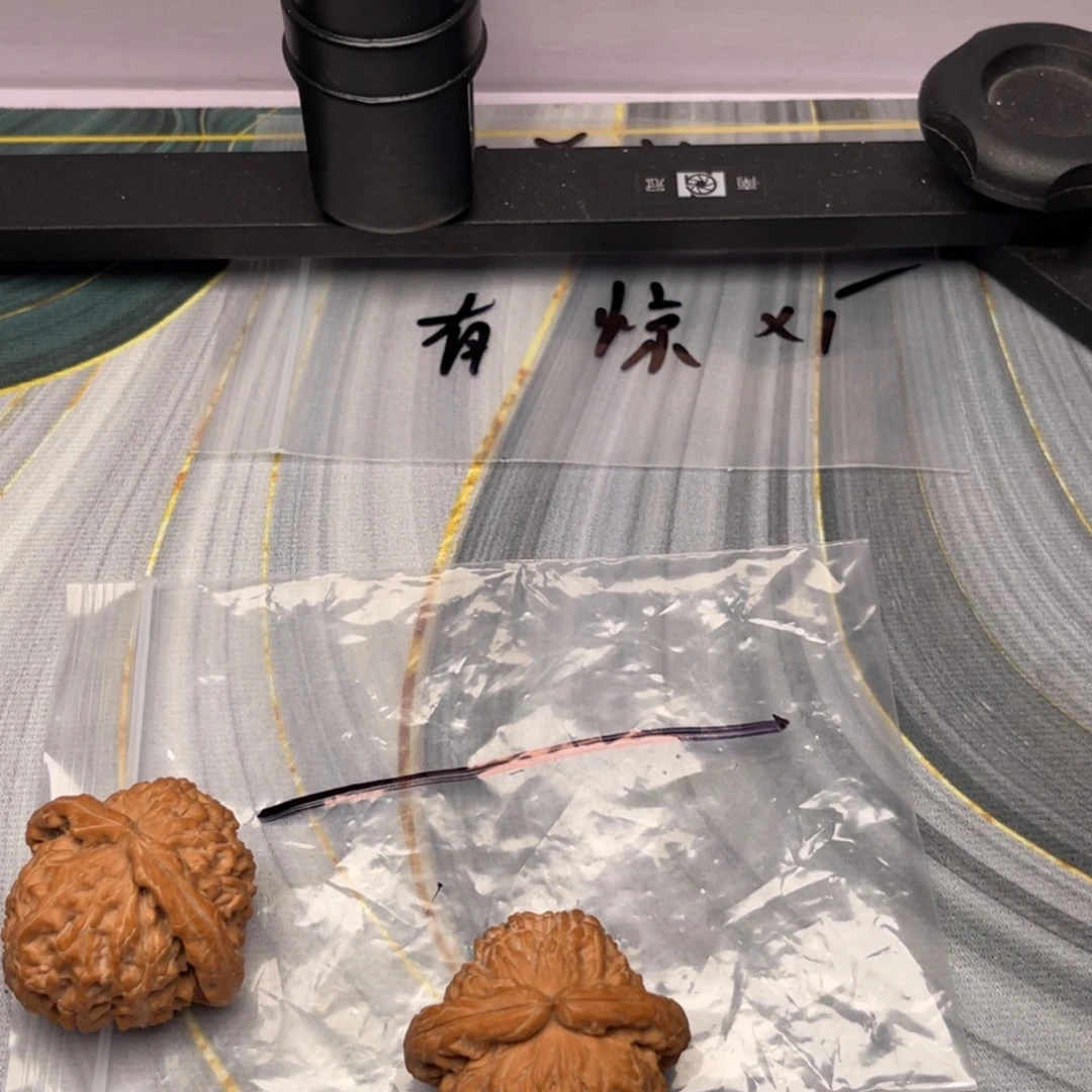 三角白狮子 37 尺寸的