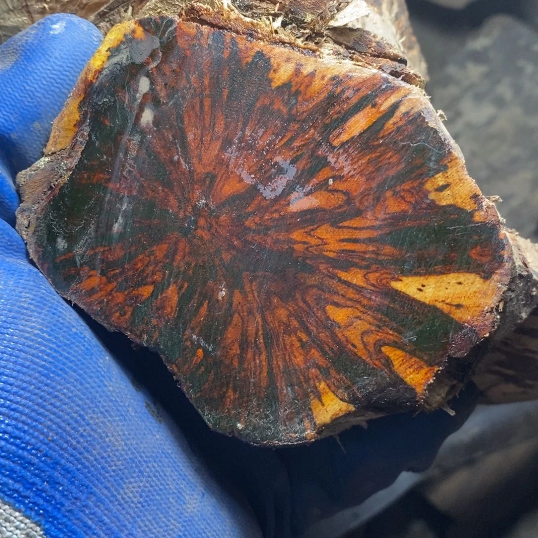 贡木龙肝香手串手链项链