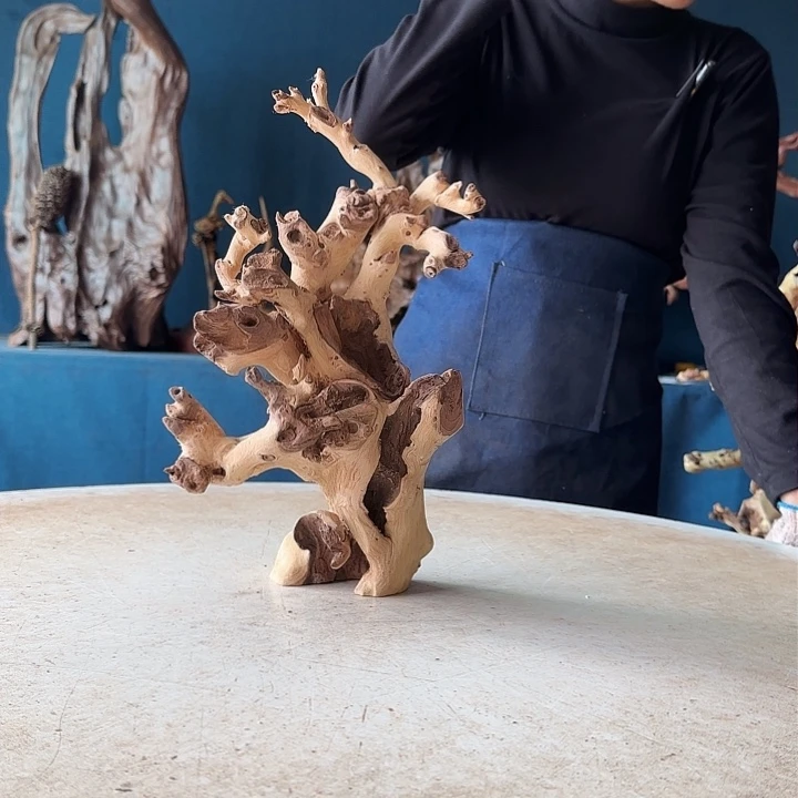 黑果木孝*588就是红木羊蹄甲半成品