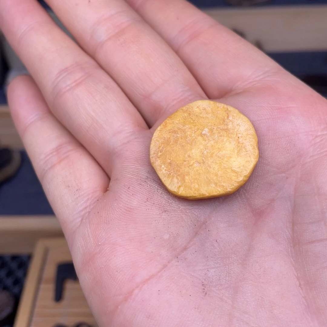 x***g8008880088888888880888