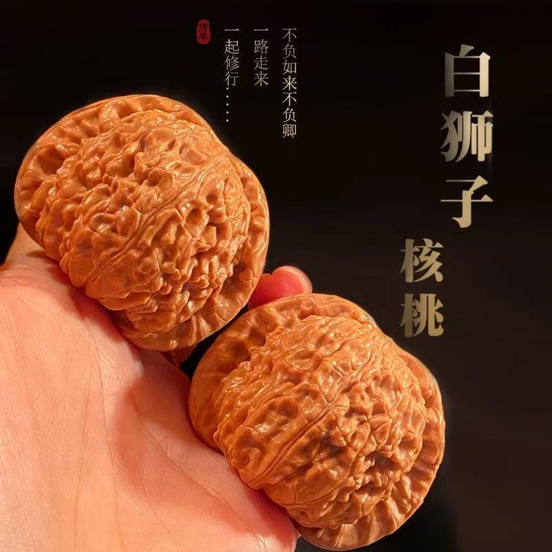 （新果头货）山地老树红皮白狮子（球白）