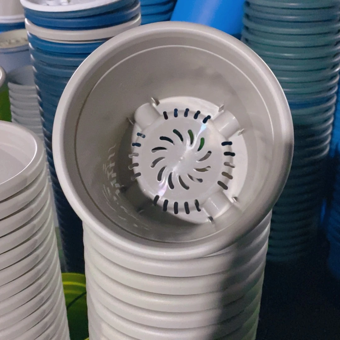 树脂特价2号无拖灰白6个果绿7个