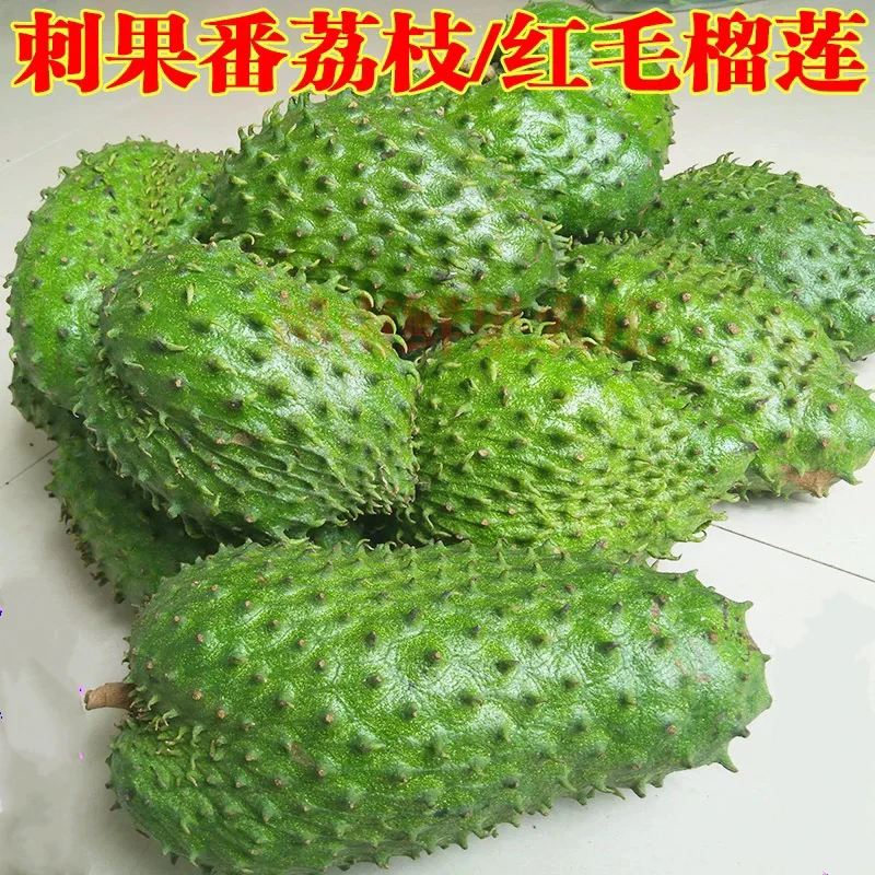 刺果番荔枝红毛榴莲新鲜水果热带酸甜可口非普通纯甜释迦番荔枝