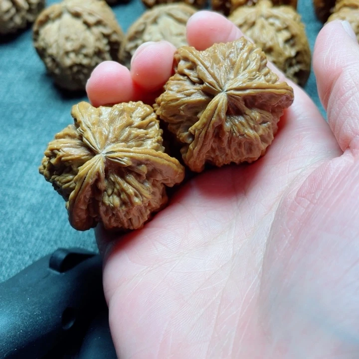 灰***狼手工三棱白狮子三棱