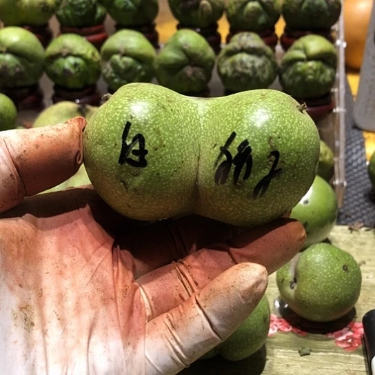 吊坠桃核核桃核桃