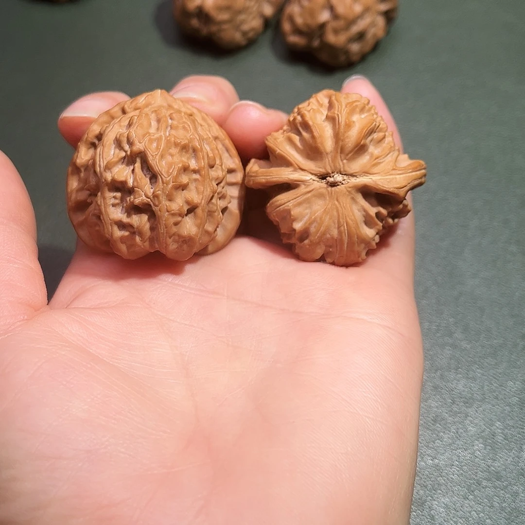 核桃涞水山地果三角白39全品