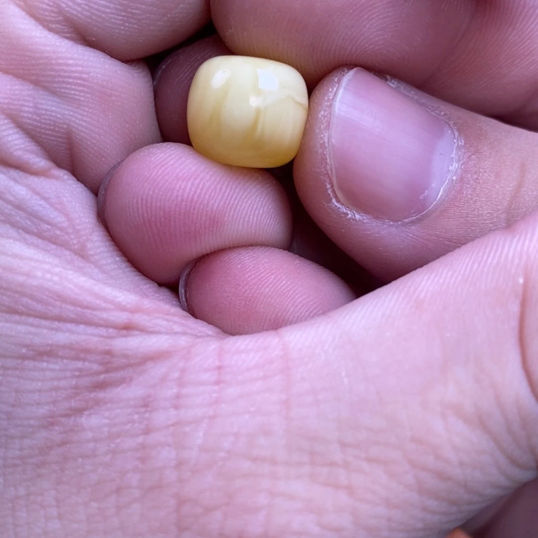 蜜蜡裸石未镶嵌江***、