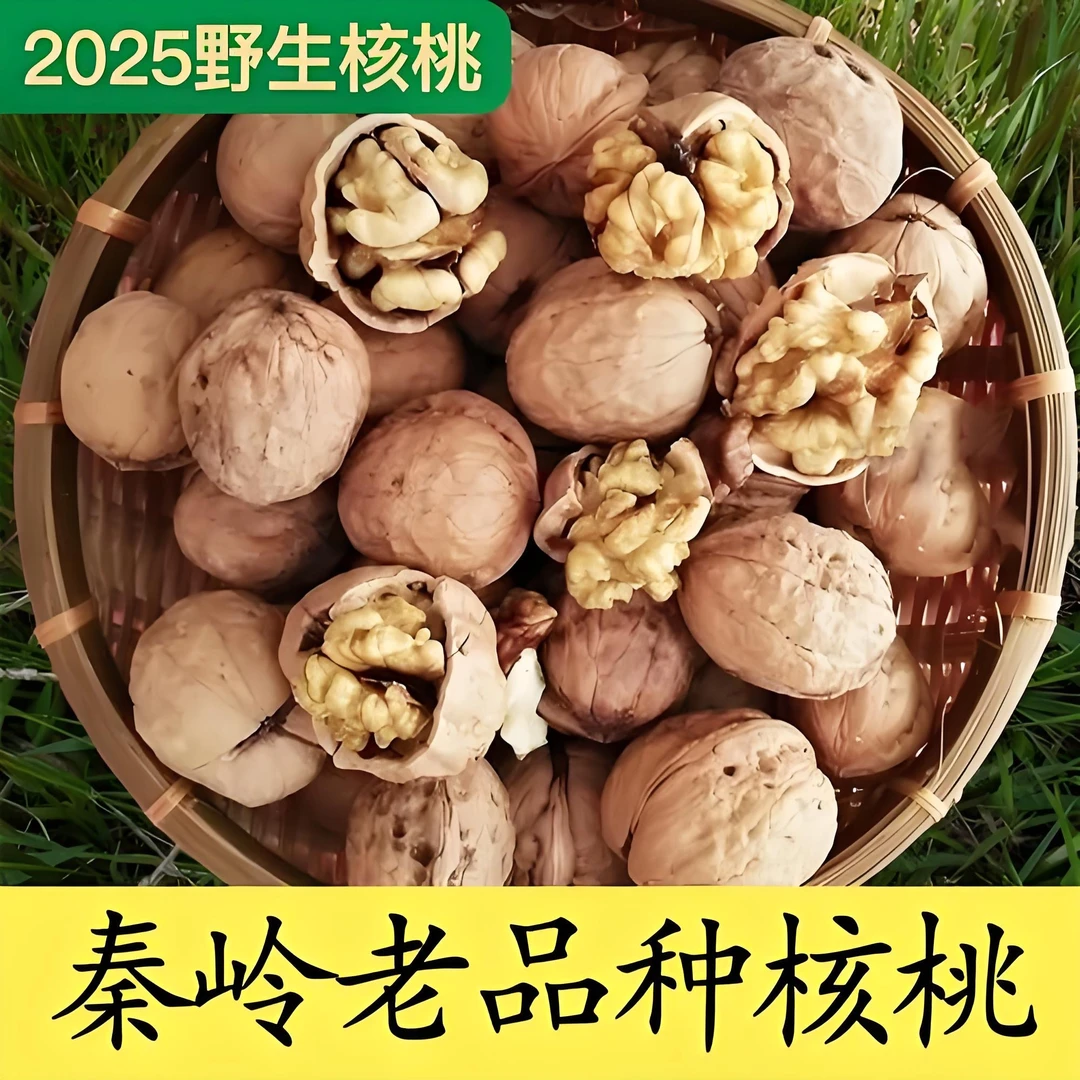 老周山货 秦岭老树苯核桃 个头偏小 不水洗不熏硫 商洛本地核桃
