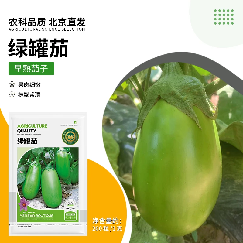 【农科院推荐绿罐茄子种子】早熟茄盆栽四季蔬菜种子简单易种年货节