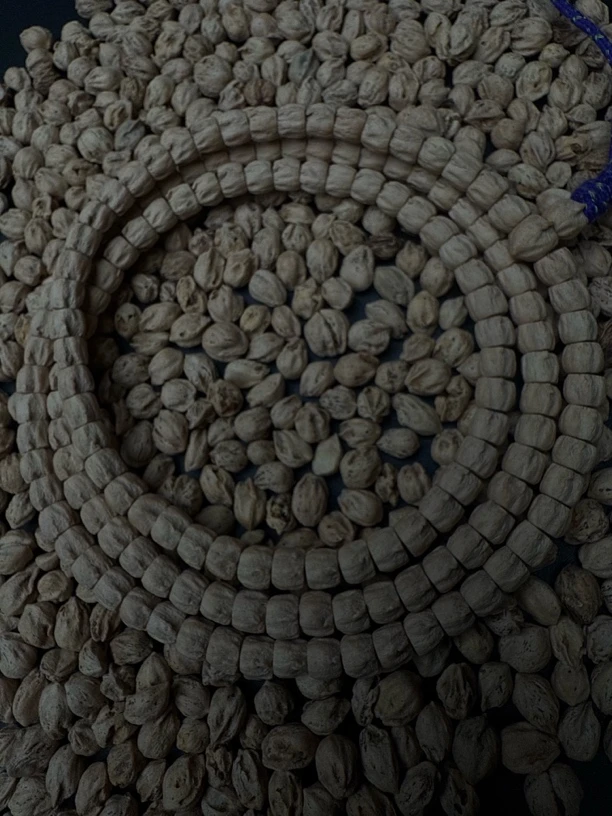 热振一哥《伏龙顶》定制级柏香籽