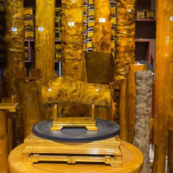 木小叶桢楠金丝楠