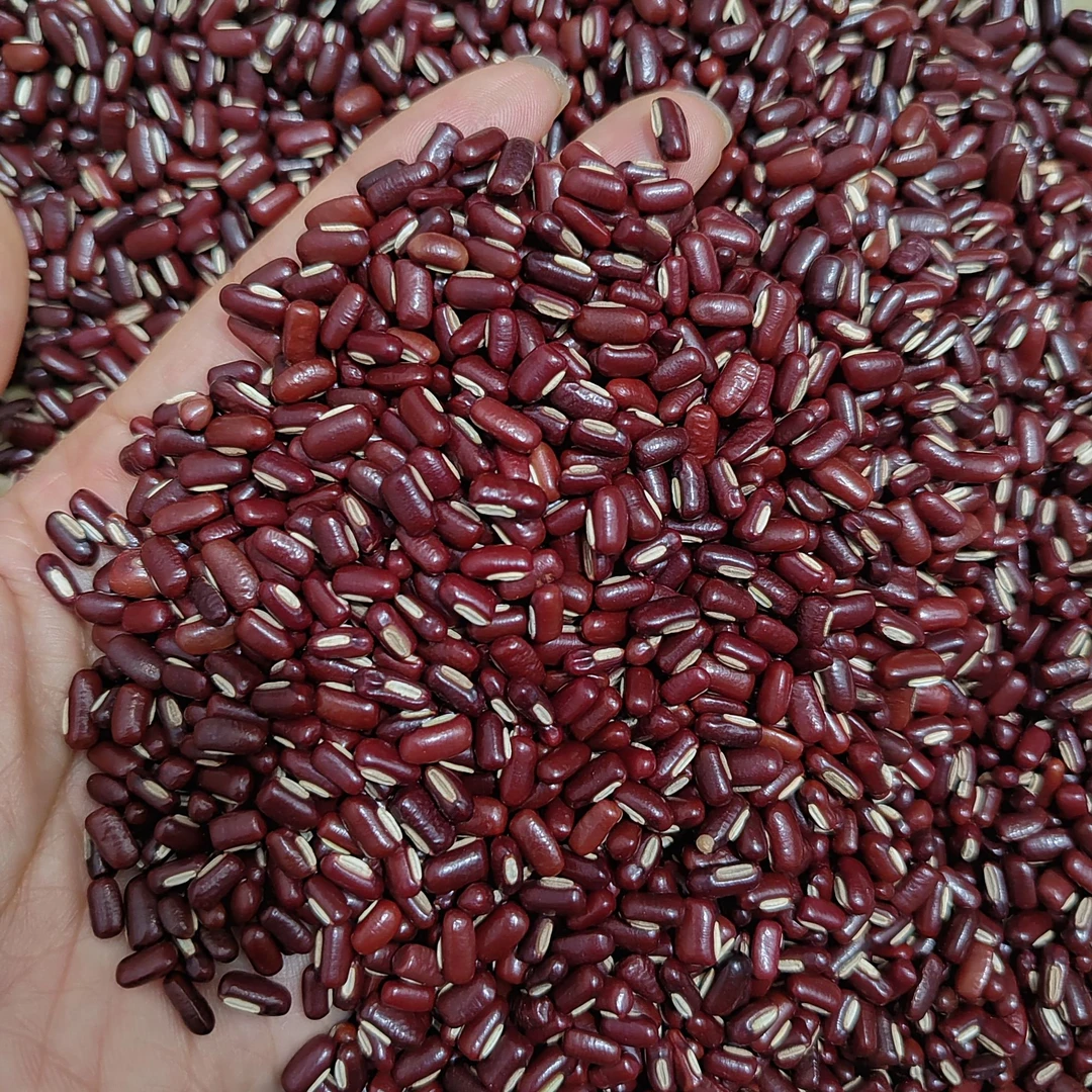 正宗新货赤小豆广东农家长粒红豆赤豆杂粮500g五谷粗粮搭芡实