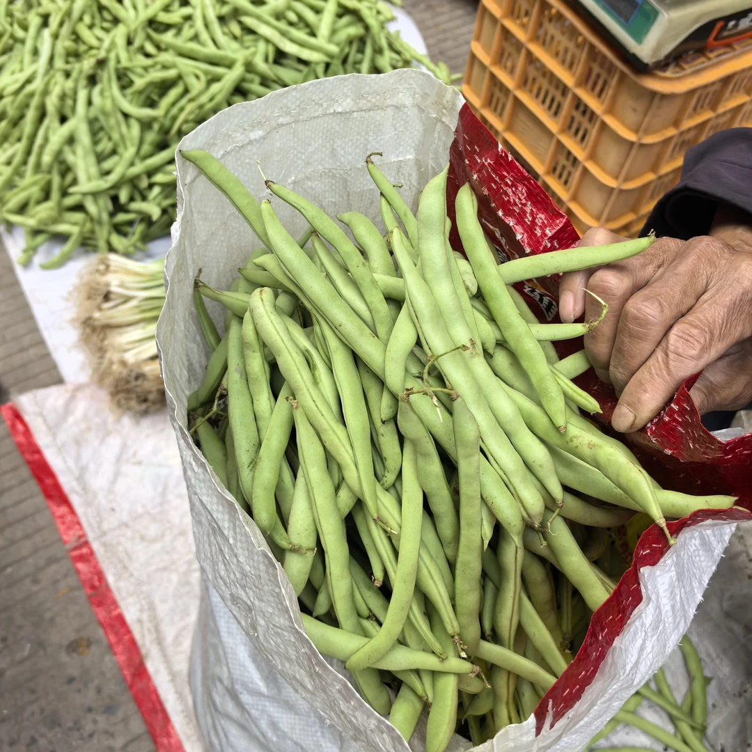 农家新鲜现摘四季豆