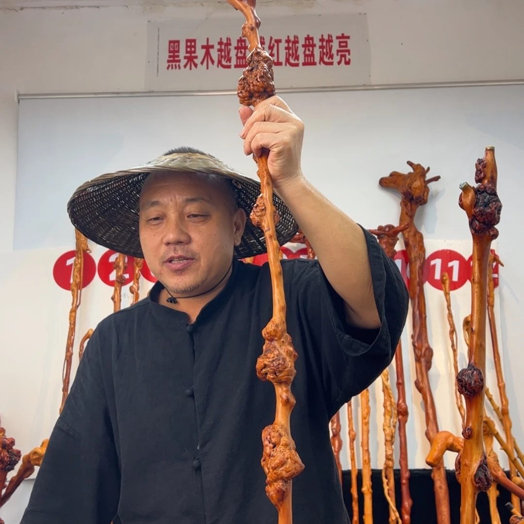 用***7黑果木其他黑果木265