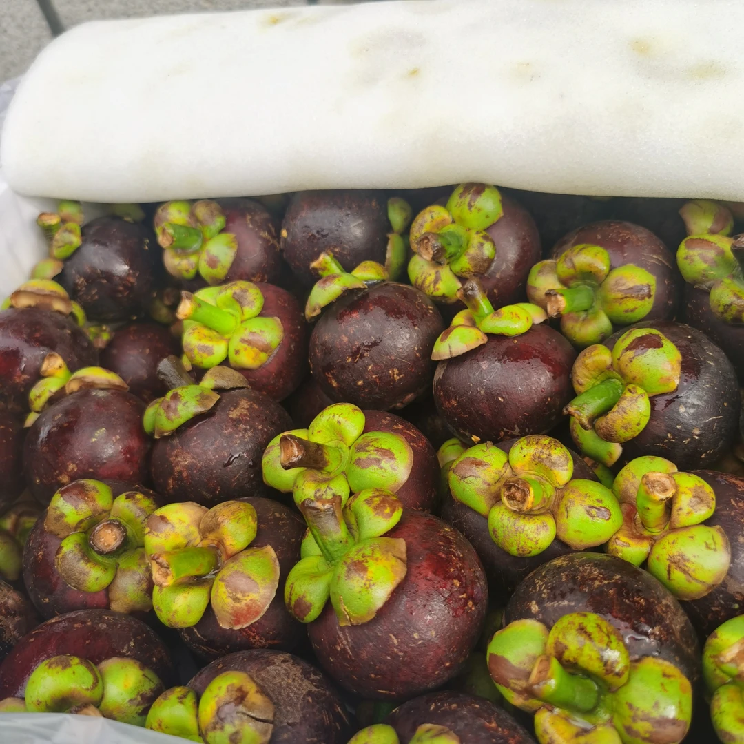 泰国山竹老树山竹1.5kg