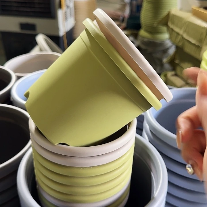 四季1#灰白10果绿10无托