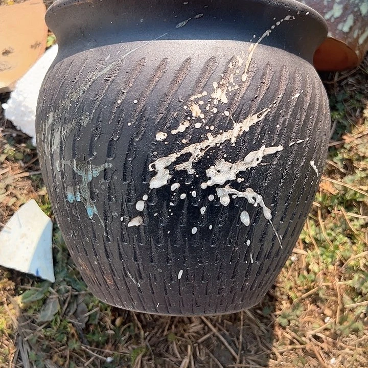 红陶口18高18福利价