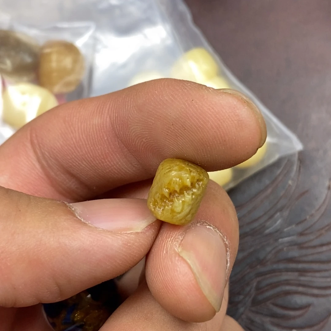 手串/手链驼骨配饰24