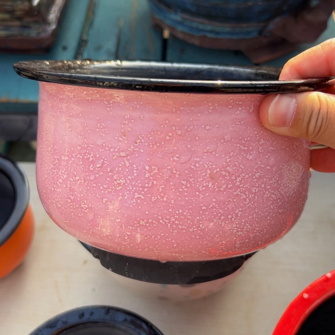 多肉一物一拍0613-62