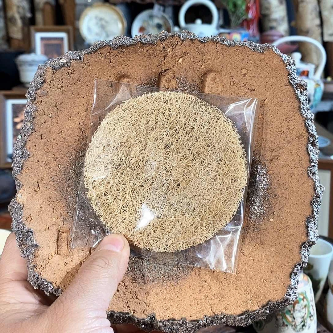 壶乘1111111111111111