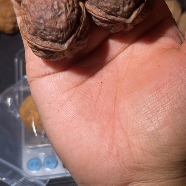 吊坠文玩核桃滇西43