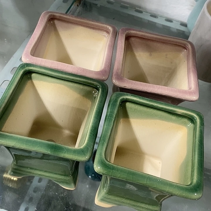 花盆抢购清货马上开始