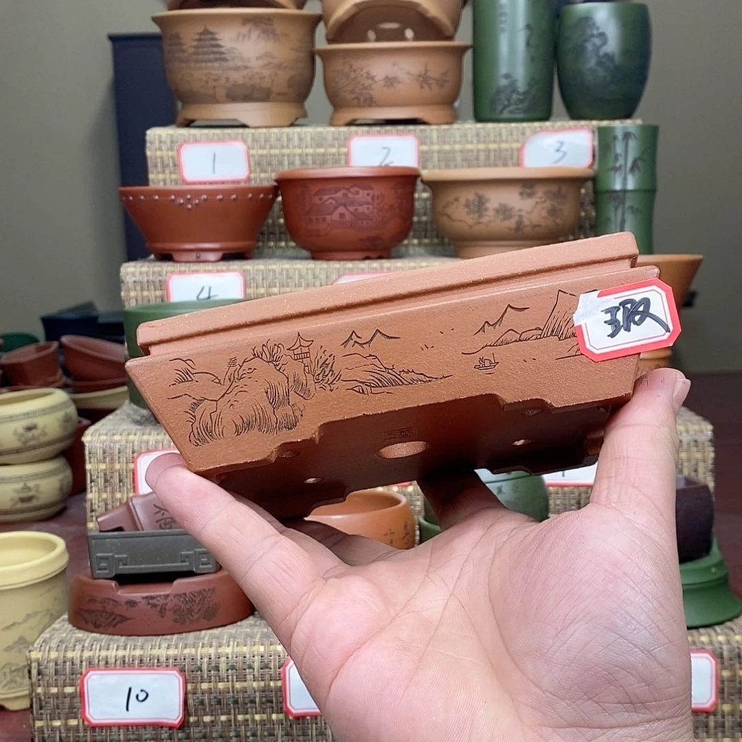 紫砂花盆我在等他