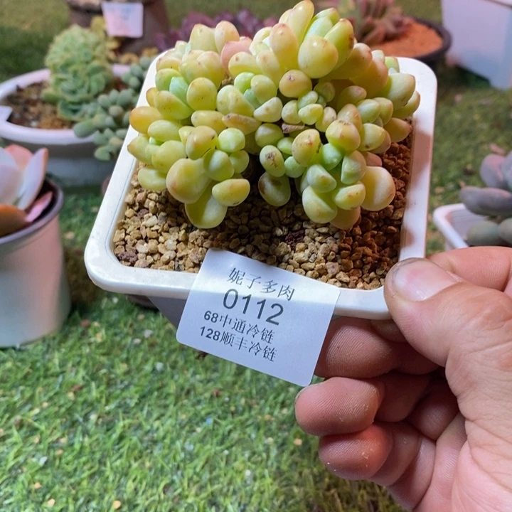 0112啊啊啊啊啊啊啊啊啊