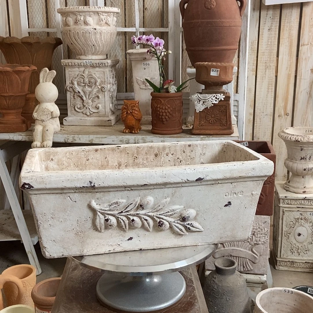 橄榄枝长盆长42.5宽21.5高16