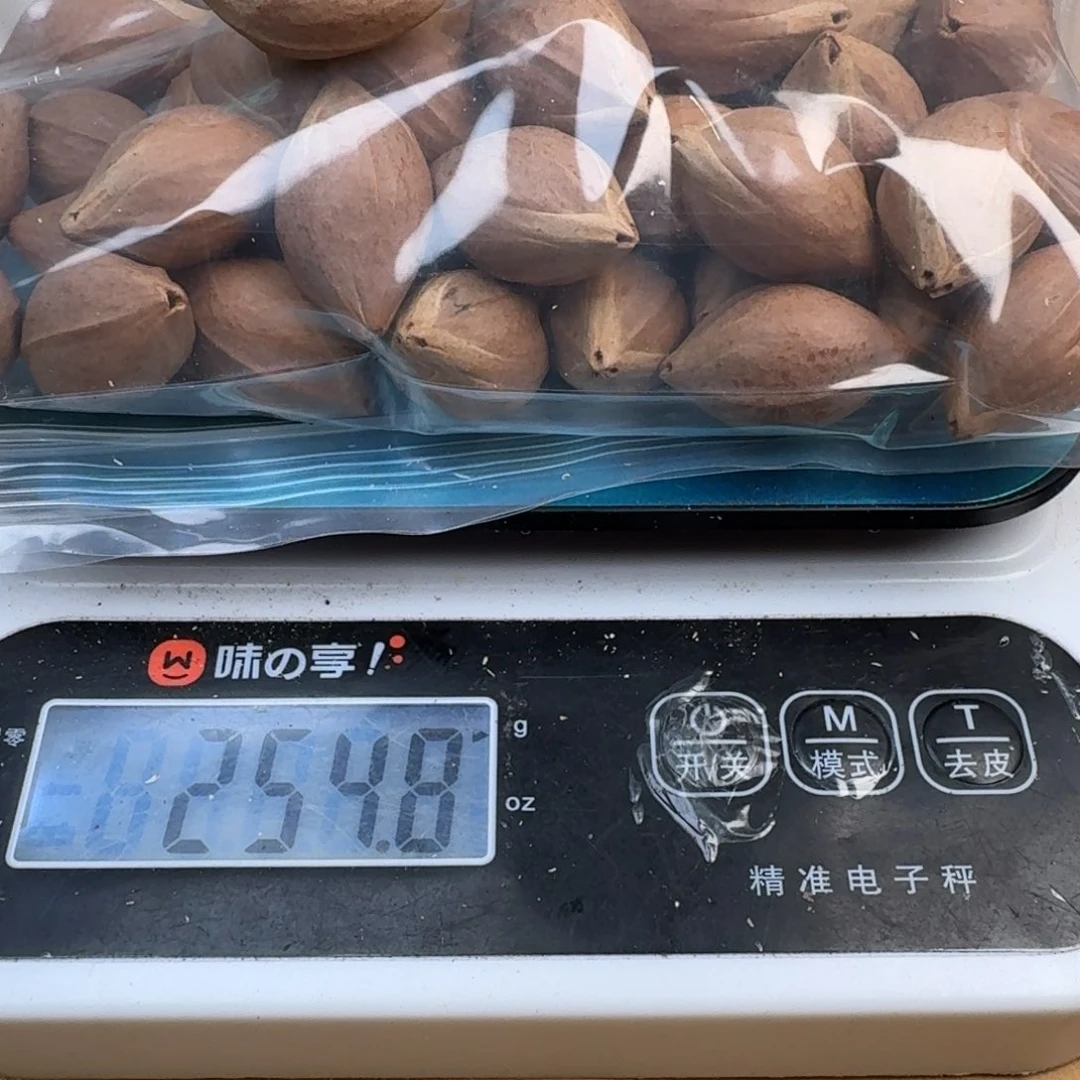 橄榄核手串/手链1