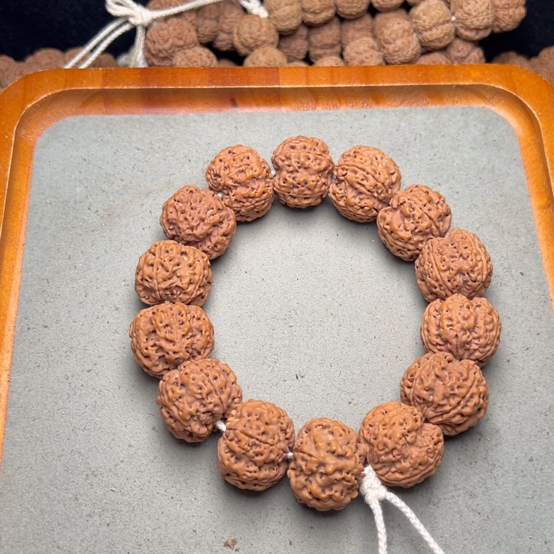 菩提14号金刚菩提蜂窝24+