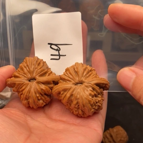 桃核把件葛*49四座楼狮子头