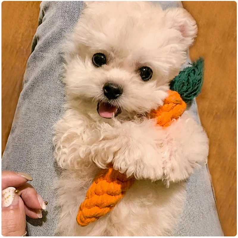 蹦蹦鱼狗狗玩具解闷神器磨牙耐咬大小型犬柯基泰迪金毛漏食发声球