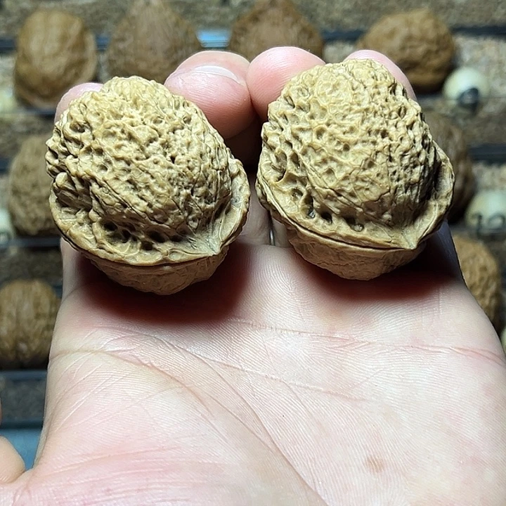 把件文玩核桃22号罗汉树头43+