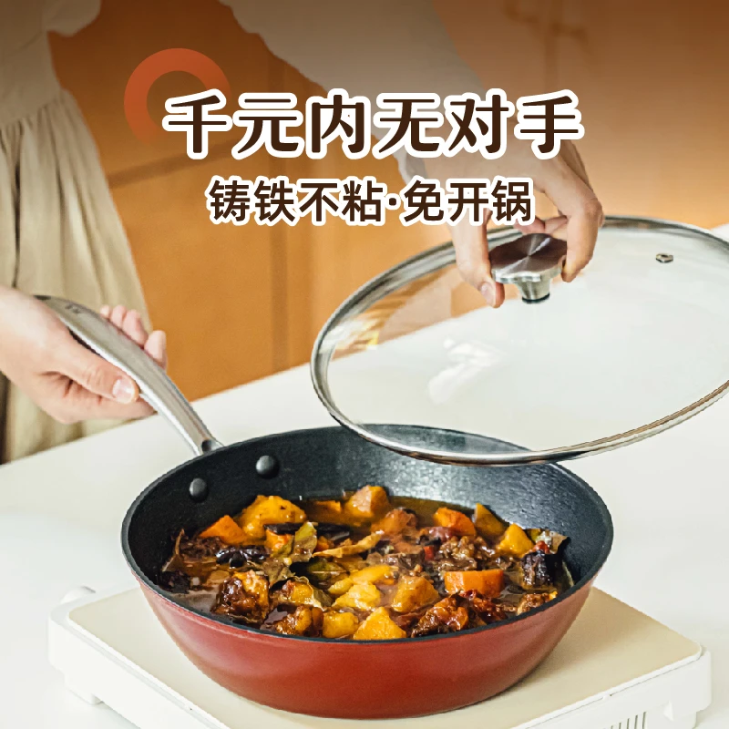 树可设计深款轻铸铁煎锅家用免开锅带盖焖煮炒菜煎鱼锅dr