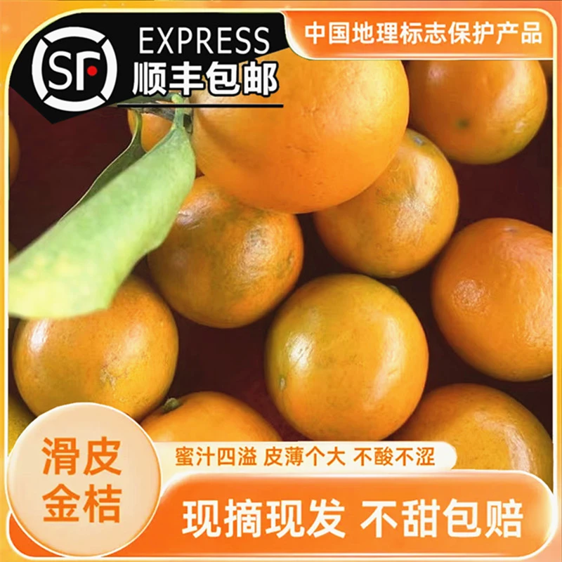 【第二代】广西融安滑皮金桔新鲜桔子应当季现摘水果蜜金柑桔纯甜