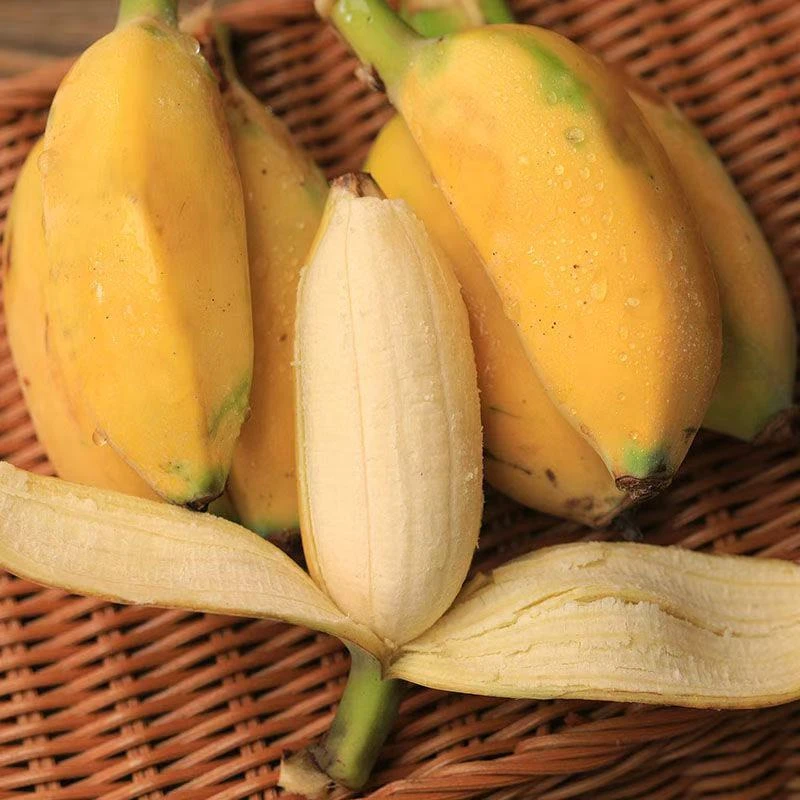 帝王蕉！净果5斤