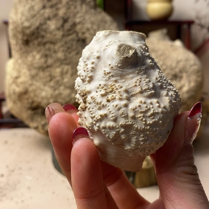 香榧木秋**事黄杨木手把件