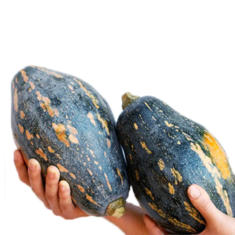 乳源大桥农家新鲜香芋南瓜老糯甜香芋味十足