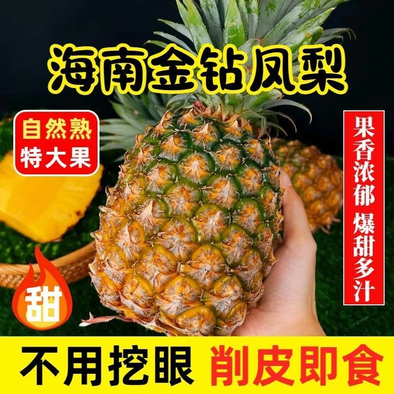 海南凤梨产地直采直发大果一箱也是批发价