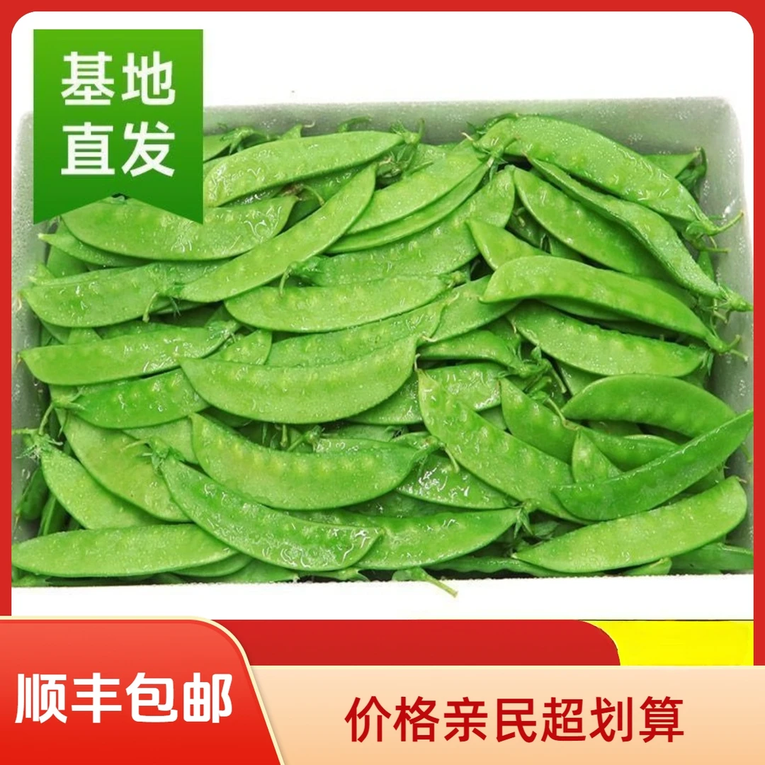 【普通快递-商超精品现摘】云南新鲜荷兰豆豌豆荚甜脆当季蔬菜现发