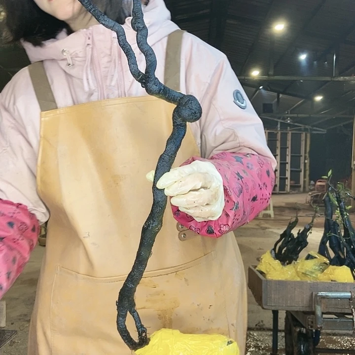 不知道是谁在说我的名字