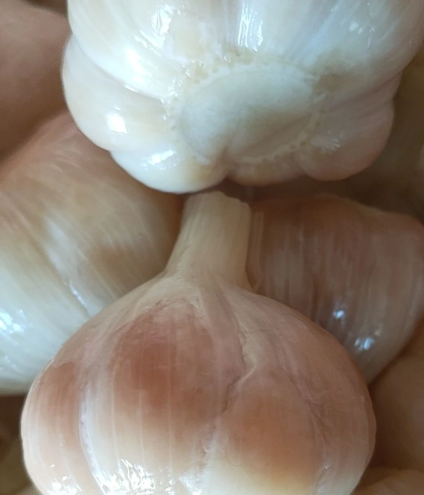 咸蒜头3/5斤申通包邮